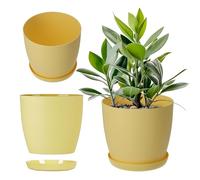 KADAX Maceta con Plato, Maceta Redonda de plástico, Maceta Mate para Cactus, helechos, Maceta Brillante para balcón, apartamento y terraza (14 cm, limón)