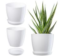 KADAX Maceta con plato, maceta redonda para interiores, elegante maceta de plástico, maceta ligera para flores y plantas para el hogar (12 cm de diámetro, color blanco)