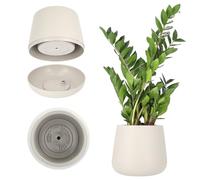KADAX Maceta de plástico, 13-23 cm, 4 colores, ovalada con platillo en el juego, maceta, macetero, macetero, maceta para plantas, macetero, maceta para plantas, maceta (13 cm, beige)