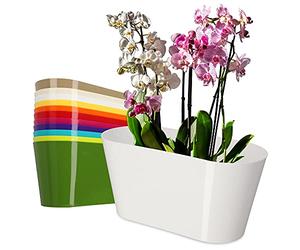 KADAX Maceta de plástico de 27 x 13 cm con forma ovalada para orquídeas, bellis, pensamientos, dracenos (blanco)