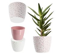 KADAX - Maceta de plástico, diámetro 11-21 cm, 5 Colores, Maceta Simple y Resistente, Tapa Redonda para Helecho (diámetro 15 cm, Rosa)