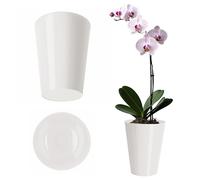 KADAX Maceta delgada para orquídeas, maceta sencilla, maceta para orquídea, marihuana, margarita, maceta para cocina y salón (13 cm, redonda, blanco)