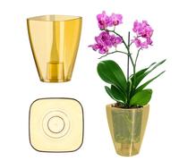 KADAX Maceta Delgada para Orquídeas, Sencilla, para Marihuana, Margarita, Cocina y Salón (12 cm, Rectangular, Miel)