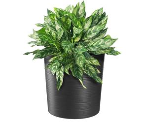 KADAX Maceta elegante con incrustación, maceta, maceta, jardinera, macetero para salón, oficina (negro, 30 cm)
