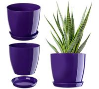 KADAX Maceta, Maceta con Plato, Maceta Redonda para Uso en Interiores, Elegante Maceta de plástico, macetero para Flores, Plantas, casa, Maceta Ligera (Ø 18 cm, Violeta)