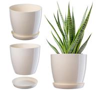KADAX Maceta, Maceta con Plato, Maceta Redonda para Uso en Interiores, Elegante Maceta de plástico, macetero para Flores, Plantas, casa, Maceta Ligera (Ø 12 cm, Crema)