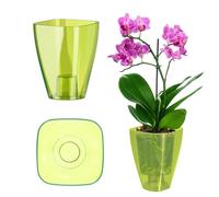 KADAX Maceta, Maceta delgada para orquídeas, simple jardinera, macetero para orquídeas, hierba para el chico, margarita, cosas para la cocina y el salón (⌀ 12 cm, angular, verde)