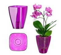 KADAX - Maceta para orquídeas, maceta individual, para orquídeas, juveniles, margaritas, maceta para cocina y salón (diámetro 12 cm, cuadrado)