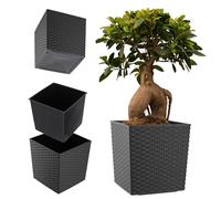 KADAX Macetero de plástico resistente a la intemperie para balcón, terraza, interior, maceta ligera con inserción, maceta para plantas (grafito, altura: 25,7 cm)