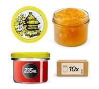 KADAX Tarros pequeños de 235 ml, frascos fi82, mini tarros para miel y condimento, tarros de mermelada con tapa, tarros herméticos para regalar (10 unidades)