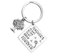KAEHA SUN-032-10 Apreciación Regalos Llavero Navidad Día de Acción de Gracias-Maestros Semillas de plantas que crecen para siempre, plata, 3 x 3 x 1 cm 10 gramos