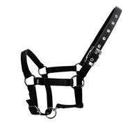 Kaeltsyn Cabestro ajustable para caballos con cincha de polipropileno, cuello de cabeza de brida gruesa, equipo de equitación para entrenamiento y equitación, collar de cabeza de brida gruesa