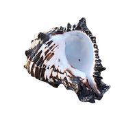 Kaeltsyn Conchas marinas naturales grandes de 3 a 4 pulgadas, perfectas para decoración de bodas, fiestas temáticas de playa, decoración del hogar, decoración de peceras