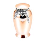 Kaeltsyn Elegante urna conmemorativa de aleación de aluminio con cierres de cadena, para gatos, perros, recuerdos, contenedor de cenizas de mascotas