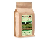 Kaffee Globetrotter - Café con corazón - Finca México Las Chicharras - 500 g de frijol entero - para cafeteras totalmente automáticas - Café de alta calidad Fair Trade apoya proyectos sociales