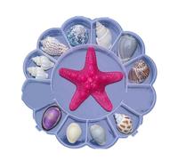 KAHDGSS Caja De Almacenamiento Transparentes Conjunto Cajas Recolección Conchas Pequeñas para Decorar Hogar Y Suministra Conchas Marinas Organizadores Joyería