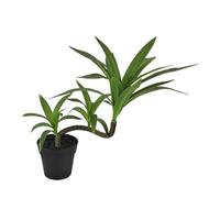 KAHDGSS Cordyline Dracaena Bambúes Vegetales en macetas Follajes Artificiales fáciles de Usar para Salas de Estar Oficinas Decoraciones Oficinas Escritorio Herbaje