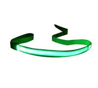 KAHDGSS Correo De Perros Brillante para Perros Pet Anti-escapas Nylon Actividad Aire Libre Tracción Tracción Cuello Mascotas Brillante Caminar Caminando