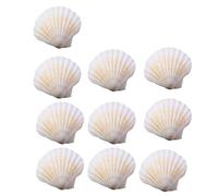KAHDGSS Práctico accesorio portátil de conchas marinas naturales para manualidades y decoración del hogar, paquete de 10 unidades de uso versátil