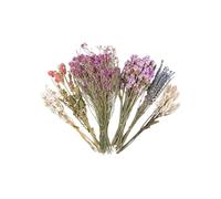 KAHDGSS Safe Dried Flower Habitat Decor - Natural Hamster Cage Bedding with Colorful Nesting Florals Holiday Hamster Bedding Gift Set