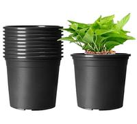 KAHEIGN 10 Piezas Plastico Macetas, 15,5cm Espesar Macetas Contenedor De Plantas Maceta De Jardinería Interior (Negro)