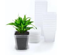 KAHEIGN 50 Piezas Claro Macetas Cuadradas, 7CM Macetas de Plástico Grueso Macetero Suculento Macetas de Vivero con Agujeros de Drenaje y Palet para Plantas Pequeñas en Macetas