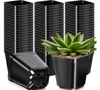 KAHEIGN 50 Piezas Macetas Cuadradas, 10CM Maceta de Plástico Grueso Macetero Suculento Macetas de Vivero con Agujeros de Drenaje para Plantas Pequeñas en Maceta (Negro)