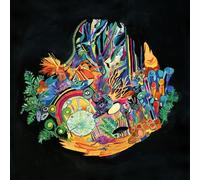 Kaitlyn Aurelia Smith Ears (Vinyl) 12" Album