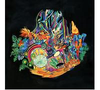 Kaitlyn Aurelia Smith Ears (Vinyl) 12" Album