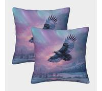 kaiyun Águila Enorme Juego De Funda De Almohada Cuadrada Altai Montañas Winter Northern Lights para Sofá Dormitorio Coche 50x50cm 2 Paquetes