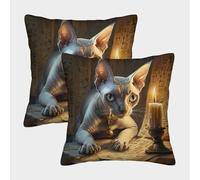 kaiyun Gato Antiguo Fundas De Almohada Decoración del Hogar Estilo de Arte Egipcio con Cremallera Invisible 40x40cm 2 Paquetes