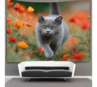 kaiyun Gato británico de pelo corto gris Tapiz De Pared Tapices Estéticos Decoración De Habitación Para,sala De Estar,universidad Decoración Del Hogar 70cmx100cm