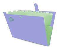 Kaizuca Carpeta Clasificadora, Organizador Documentos, Acordeón Carpeta, Alta Capacidad, con 12 Compartimentos, para Herramientas Escolares y de Oficina (Violeta)