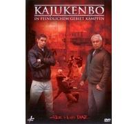 Kajukenbo Fight in a Hostile Environment by Luis Diaz