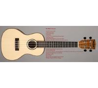 Kala Solid Spruce Top Concert UKE flamed SPAL Ted Map with Concert Case (UC de c)