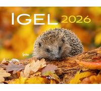 Kalender Igel 2026 Eintragkalender: 12 süße Aufnahmen der stacheligen Gesellen - mit witzigen Namen