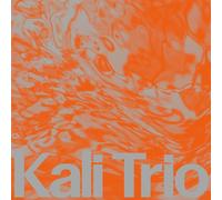 Kali Trio - The Playful Abstract (LP) [Import] [Vinilo]