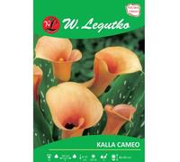 Kalla Cameo salmón 1 unidad.