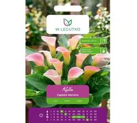 Kalla Capitán Marrero rosa claro 1 unidad.