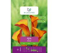 Kalla Mango naranja 1 unidad.