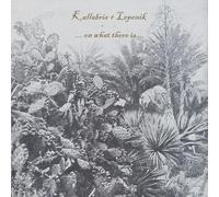 Kallabris + Lepenik - On What There Is [Vinilo]