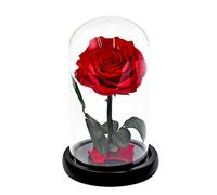 KALLORY Caja de Obsequio el Principito Flor Preservada Romántica en Cúpula de Cristal Luminosa y Hecha a Mano para San Valentín sin Batería