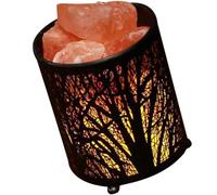 KALLORY Lámpara de Sal Natural para Mesita de Noche Pequeña con Diseño de Hierro Forjado, Luz Cálida Decorativa para Dormitorio y Sala de Estar, Lámpara de Noche con Enchufe Ac220,