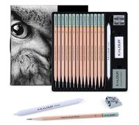 KALOUR Juego de 18 lápices de dibujo profesional, incluye lápices 5H a 12B, borrador de vinilo, borrador amasado, sacapuntas y tocón de mezcla de papel, ideal para artistas y principiantes