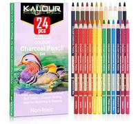 KALOUR PDAS Juego de 24 lápices de carbón de colores, lápices de tiza pastel, tono de piel, para dibujar, sombrear, colorear, capas y mezclar para principiantes y artistas