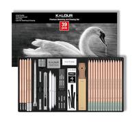 KALOUR PDAS - Juego de 39 lápices de dibujo profesionales (5H-14B), lápices de carboncillo blanco y negro para bocetos, borrador, pincel, carboncillo, lápices de arte para artistas y principiantes.