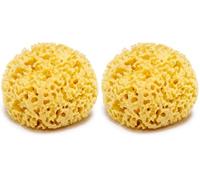 Kalyspongea® Esponja Marina Natural por Bebe y Adulto Grass Grande 12-13 cm Esponja Jabonosa Baby Baño 100% Vegetal para Ducha o Baño Cuerpo Embalaje de Regalo (Paquete de 2)