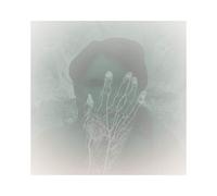 Kambodsja - Stranger [Vinilo]