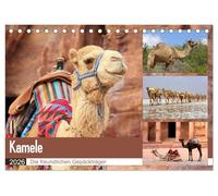 Kamele - Die freundlichen Gepäckträger (Tischkalender 2026 DIN A5 quer), CALVENDO Monatskalender: Ein entbehrungsreiches Leben in Wüsten