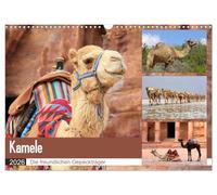 Kamele - Die freundlichen Gepäckträger (Wandkalender 2026 DIN A3 quer), CALVENDO Monatskalender: Ein entbehrungsreiches Leben in Wüsten